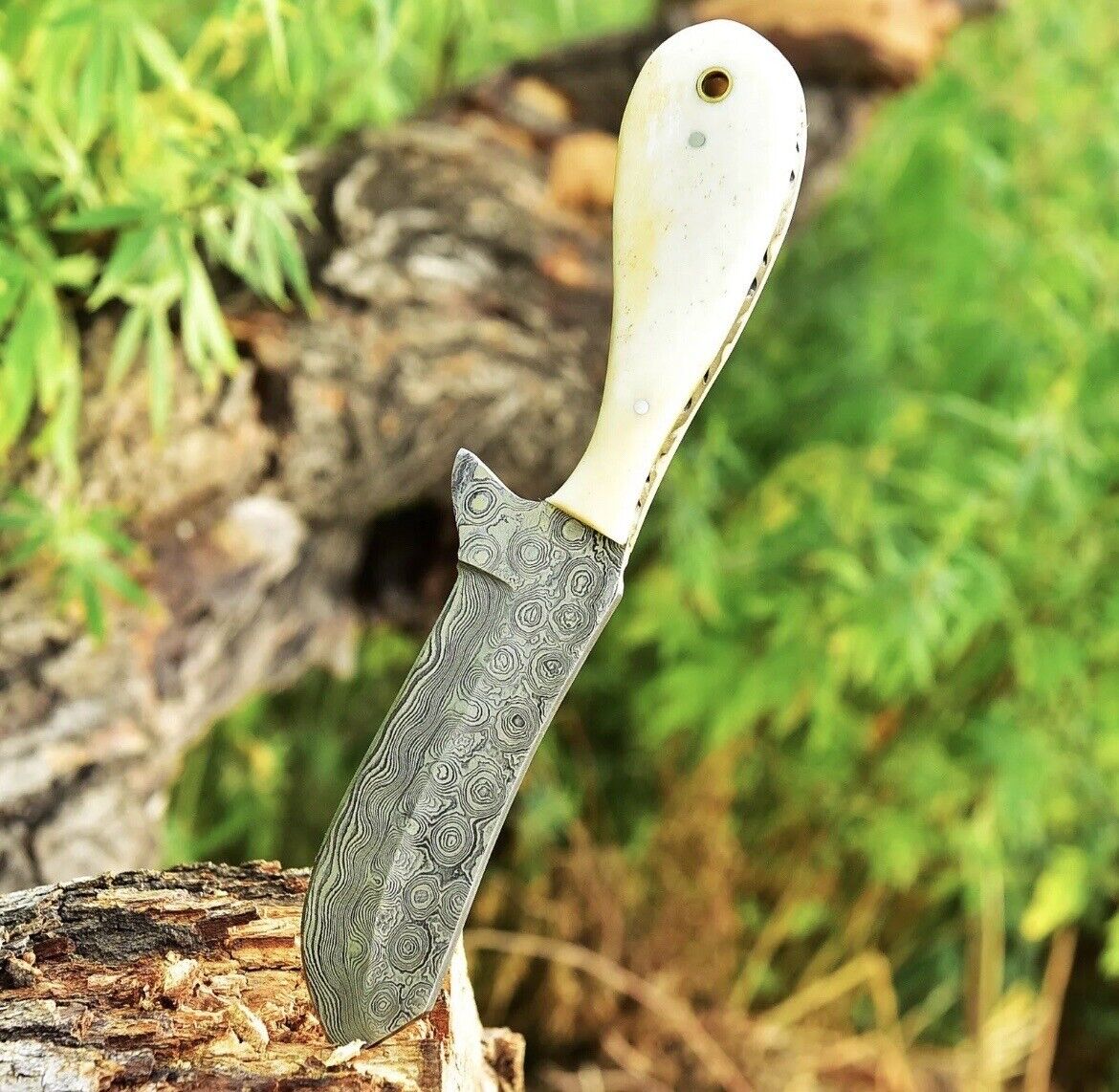 Gareth Bull Shamwari Inspired – 8" Artisan Damascus Knife with Camel Bone Handle & Leather Sheath - Korvel