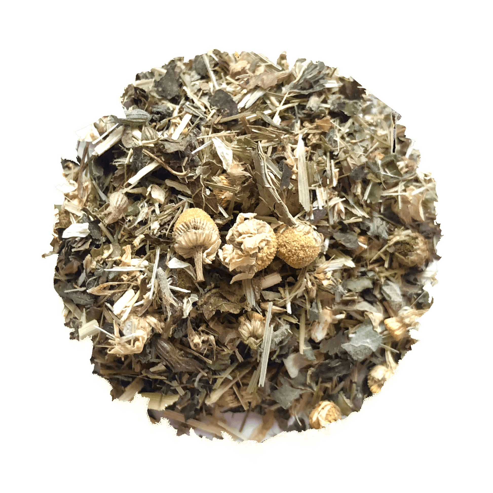 Coastal Calm For Kids - Korvel