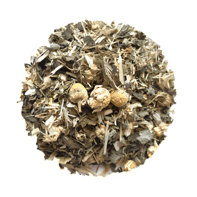 Coastal Calm For Kids - Korvel