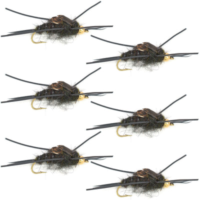 Premium Tungsten Bead Kaufmann's Black Stone Fly with Rubber Legs - Wet Fly Set of 6 (Hook Size 6) - Korvel
