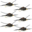 Kaufmann's Tungsten Bead Black Stone Fly with Rubber Legs - Set of 6 Size 10 Wet Flies - Korvel
