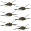 Tungsten Bead Kaufmann's Black Stone Fly with Rubber Legs - Stonefly Wet Fly - 6 Flies Hook Size 8
