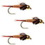 3 Pack Bead Head Copper John Nymph Fly Fishing Flies -  Hook Size 10