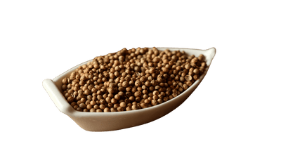 Whole Coriander Seeds - Flavorful Spice for Health - Korvel