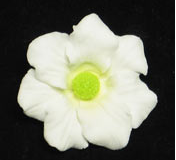 Cosmos Flower Decorations - White with Green Center - 36 Count