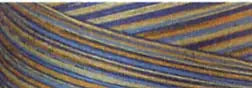 Fil à quilter en coton 3 fils 40wt 3000yds dégradé pays français