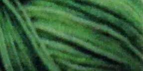 Hilo de acolchado de algodón variegado 3000yd - Hierba de primavera