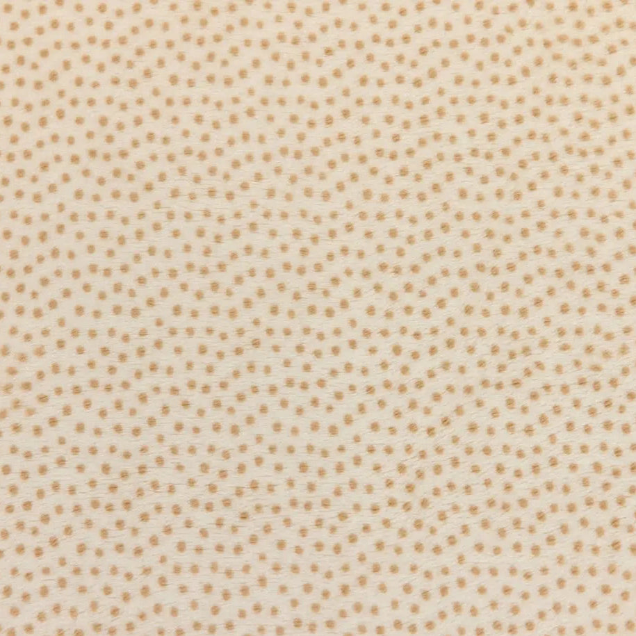 Cream Extra Wide Dottie Cuddle Sand Fabric per Yard