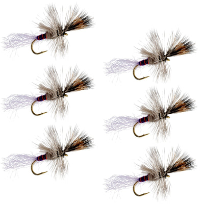 Purple Haze Cripple Mayfly 6 Flies Hook Size 14 - Korvel