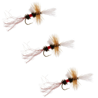 Paquet de 3 Mouches Royal Wulff Cripple Mayfly - Hameçon Caddis Emerger Taille 16