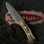Handcrafted 12” High Carbon Steel Hunting Knife with Antler Handle & Leather Sheath - Korvel