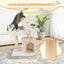 Árbol para Gatos de Madera Sólida Elegante con Ramas Naturales - Beige