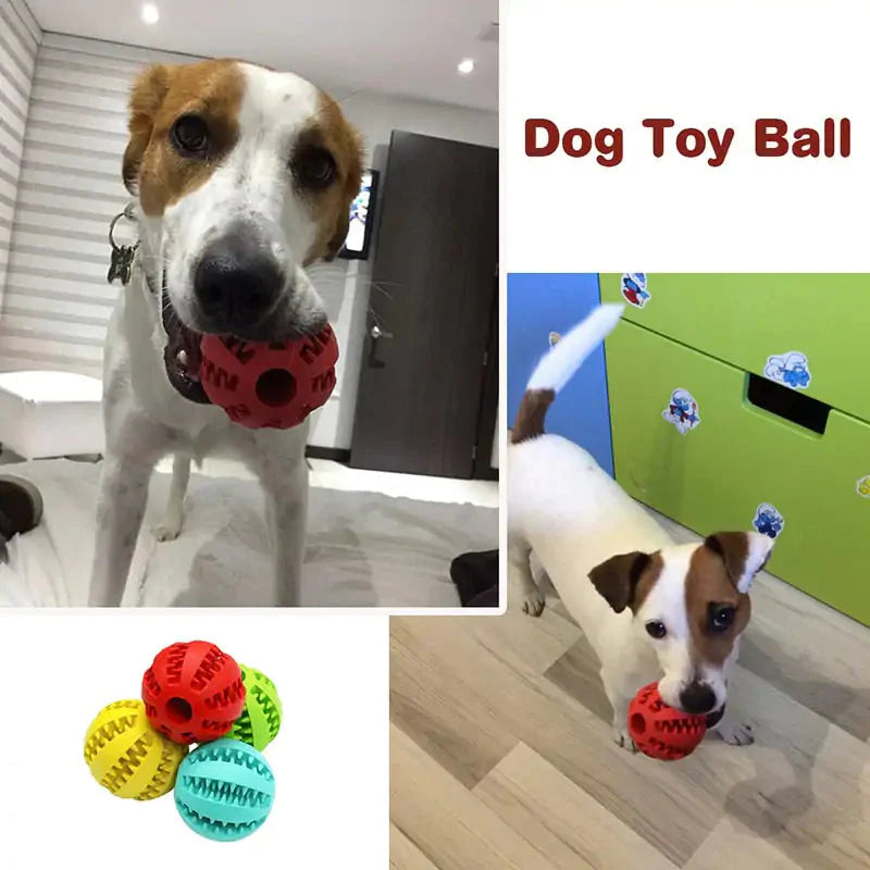 Interactive Treat Ball for Cats and Dogs