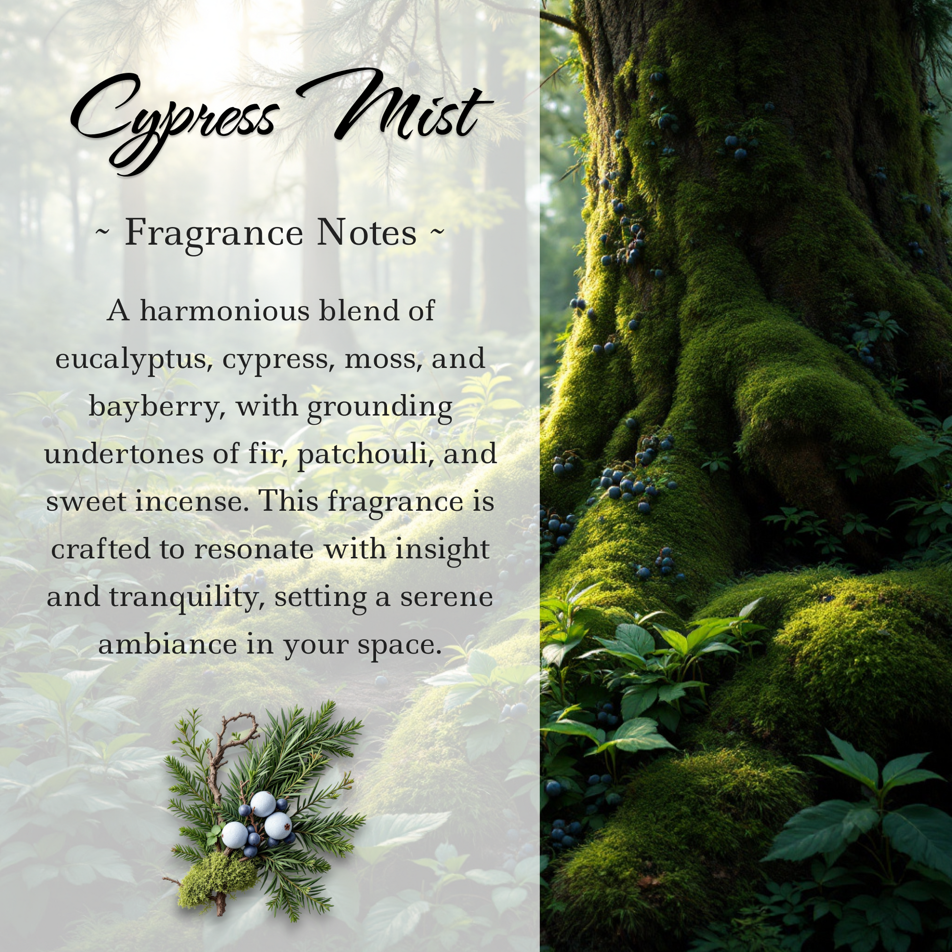 Tranquil Cypress Mist Amethyst Crystal Candle | 9oz Coconut-Soy Blend - Korvel