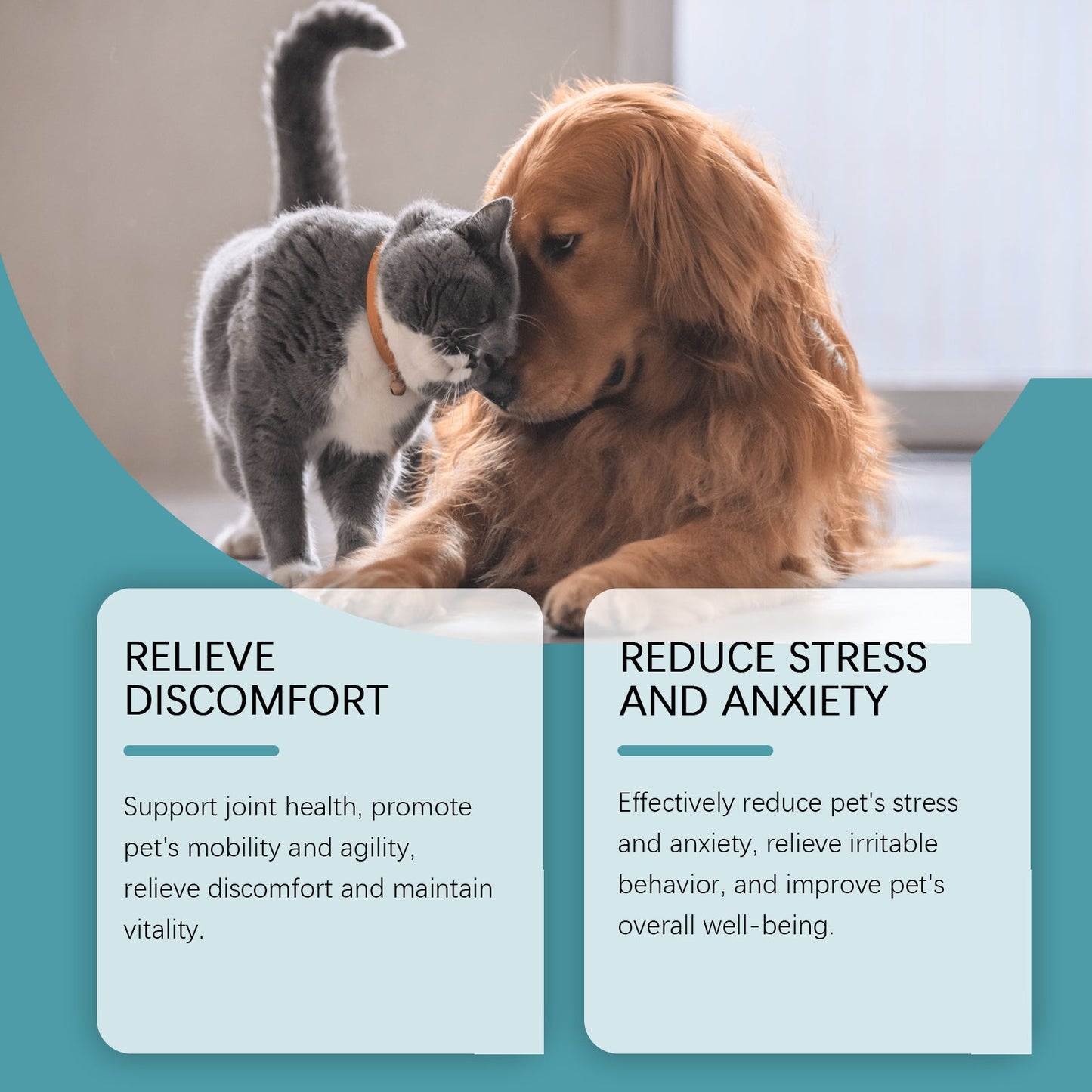 Pet Food Supplement Care For Pets Physical Discomfort Daily Care Food Supplement - Korvel