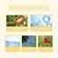 Firming And Whitening Neck Creme Reduces Neck Lines, Moisturizes And Tender Neck Skin - Korvel