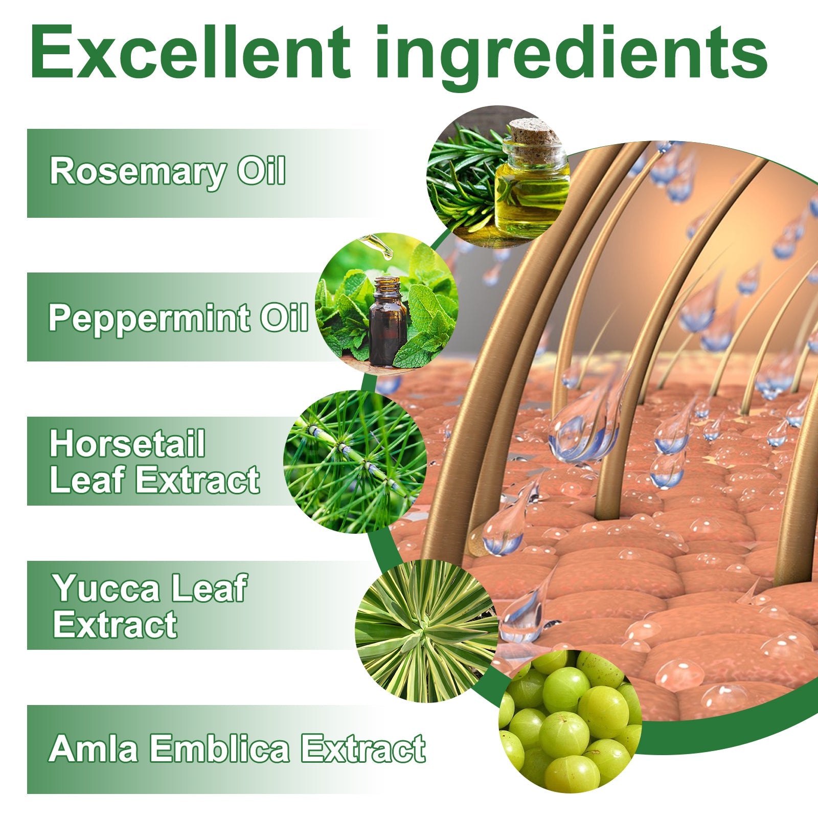 Rosemary Water, Moisturize Hair Roots Repair Damaged Hair Strengthen Hair And Prevent Hair Loss - Korvel