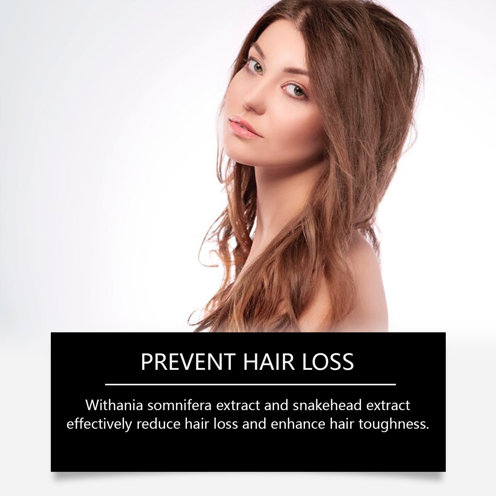 Herbal Hair Care Shampoo Gently Cleanses Scalp And Improves Frizzy Hair Care Shampoo - Korvel