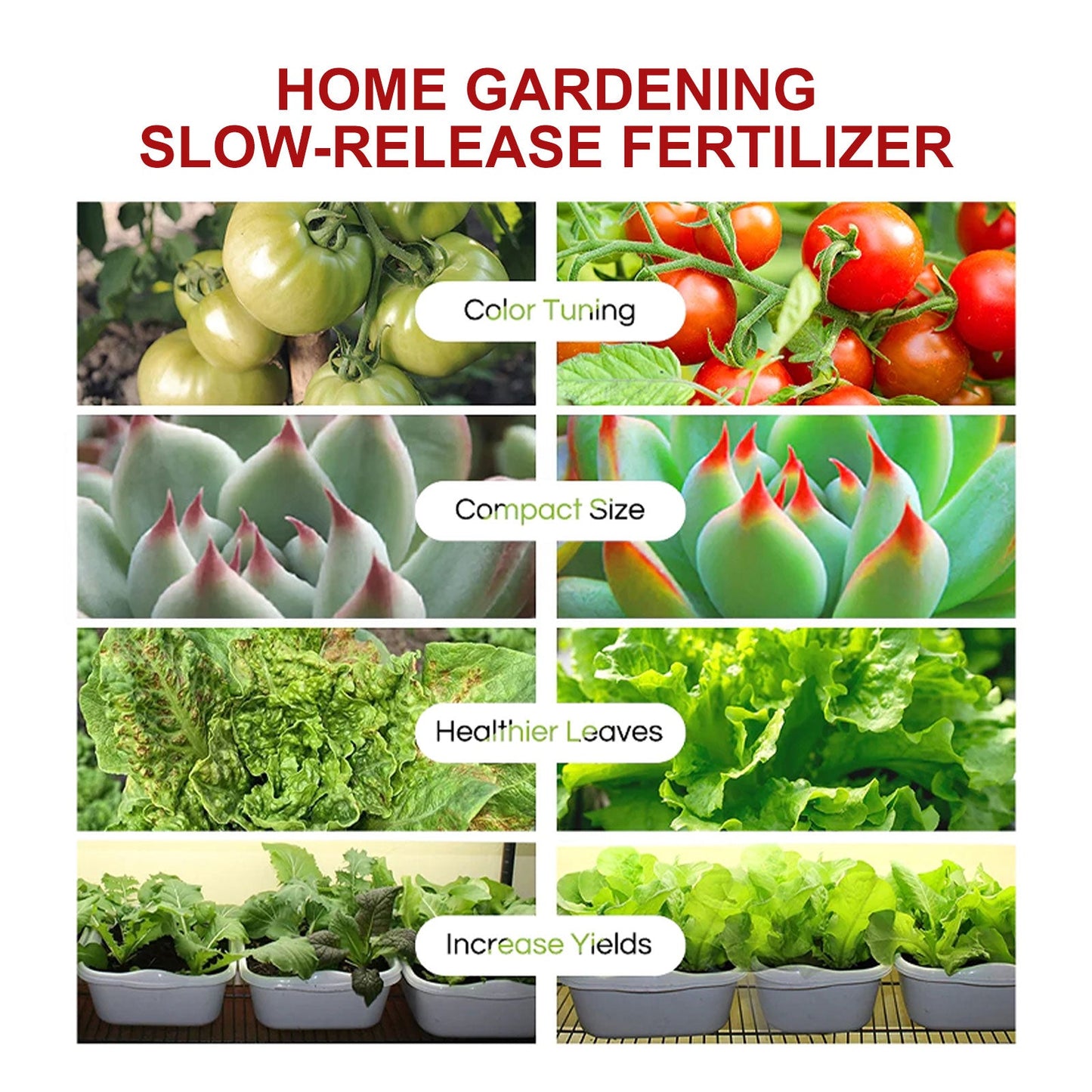 Sustained-Release Plant Nutrition Tablets for Optimal Growth