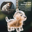 A transparent DIY pet hair memorial keychain box, a sweet keepsake for dog lovers. - Korvel