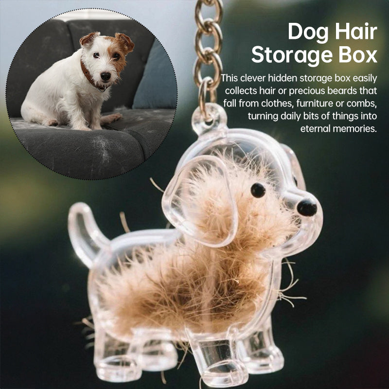 A transparent DIY pet hair memorial keychain box, a sweet keepsake for dog lovers. - Korvel