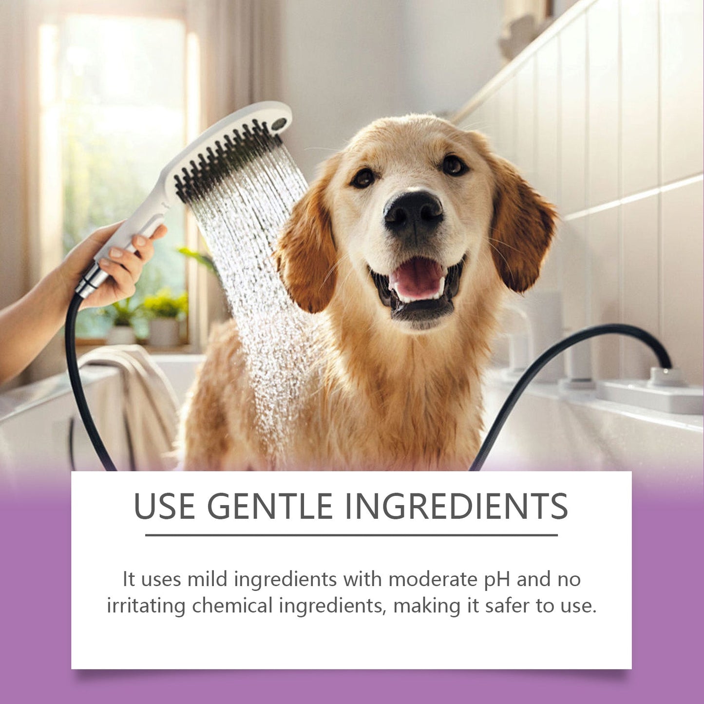 Premium Lavender Pet Conditioner for Cats and Dogs