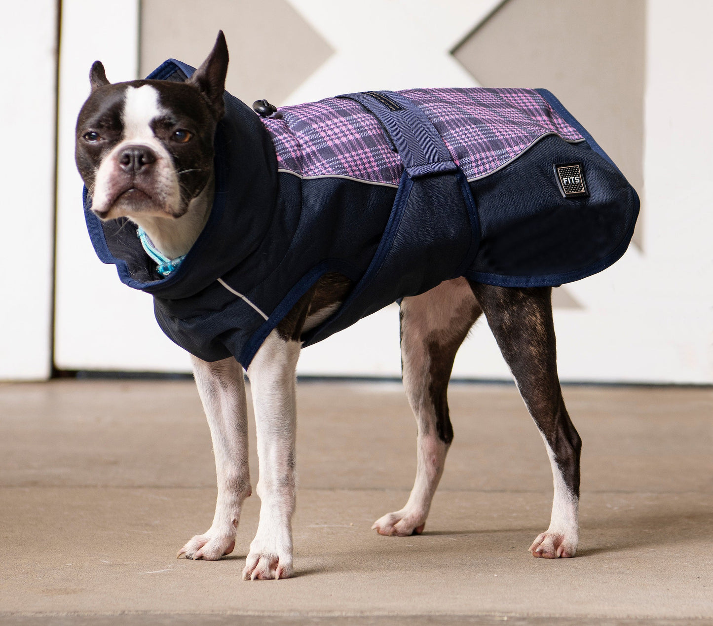 Abrigo Premium para Perros para Todas las Climas