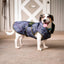 Abrigo Premium para Perros para Todas las Climas