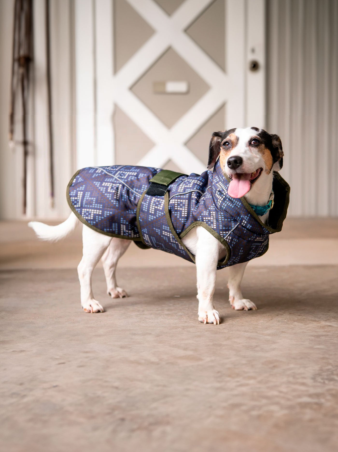Abrigo Premium para Perros para Todas las Climas