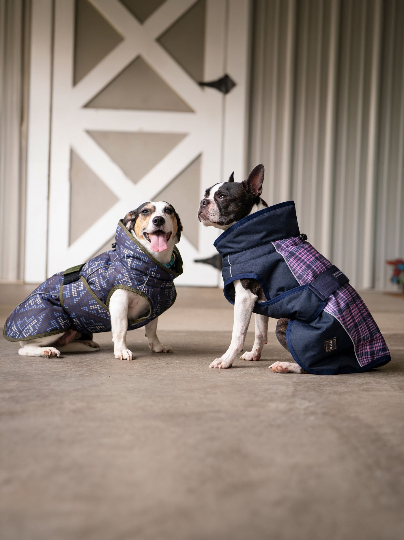 Abrigo Premium para Perros para Todas las Climas