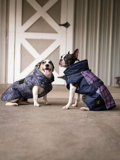 Premium All Weather Dog Coat for All Breeds