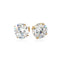 Pendientes de Stud de CZ Redondos de 8.0mm en Oro Amarillo de 14k