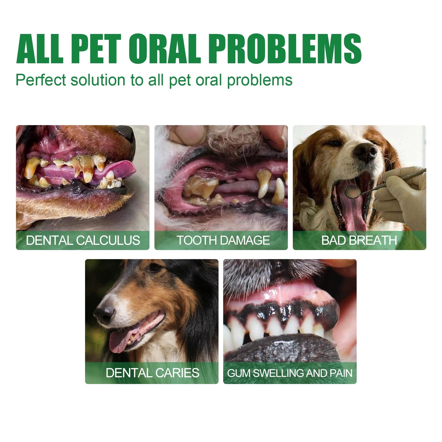 Pet Tooth Deodorizer Spray, Cats And Dogs Universal Mouth Cleaning Breath Freshening Spray - Korvel