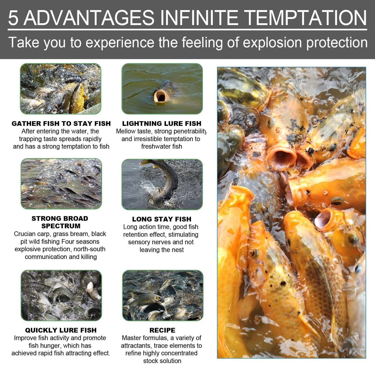 Atractante de Cebo Premium para Entusiastas de la Pesca