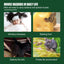 Premium Rat Repellent Gel for Home and Outdoor Use
