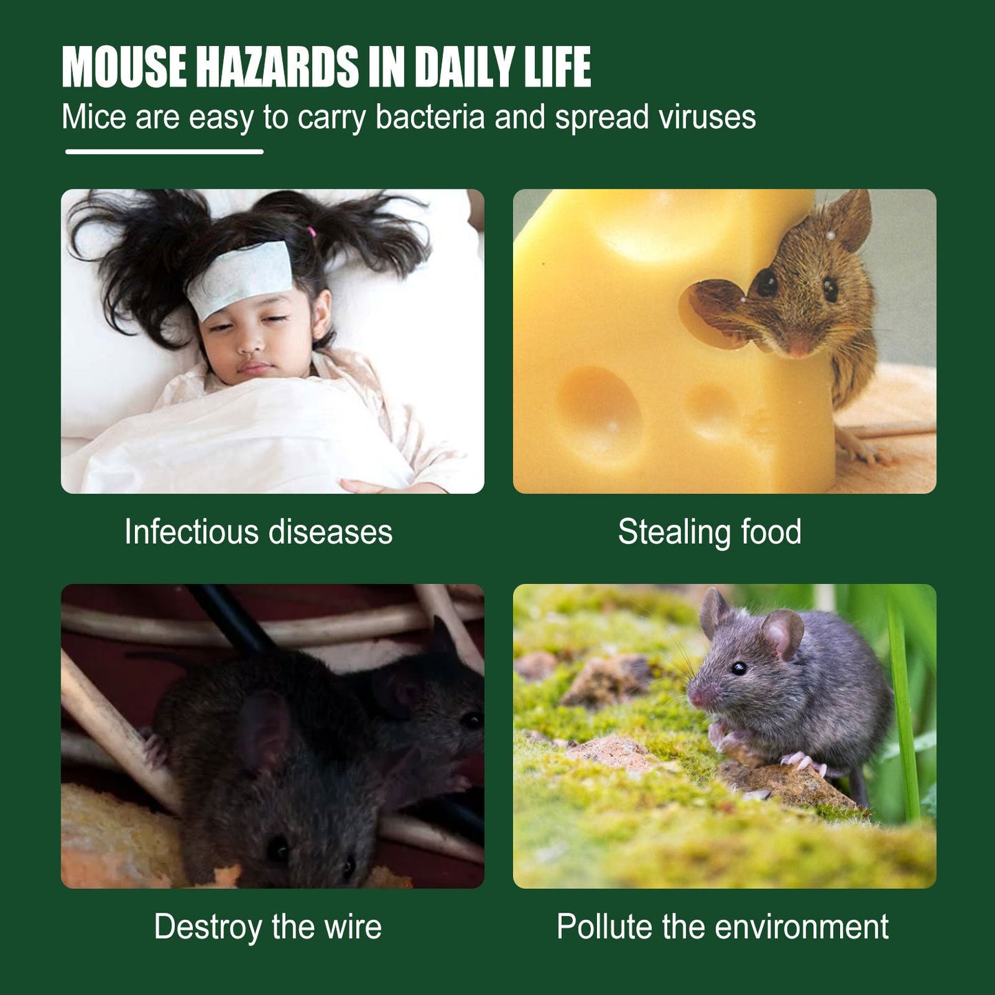 Premium Rat Repellent Gel for Home and Outdoor Use