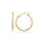 14k Tri-Color Gold Classic Hoop Earrings with Diamond Cut Details