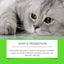 Premium Probiotic Drops for Cats - Enhance Digestive Health