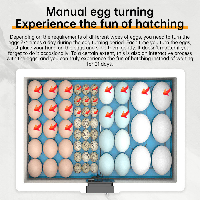24 - hr Thermostatic Small Poultry Incubator. Biomimetic Waterbed. Auto & Smart. For Chick, Duck & Goose Eggs - Korvel