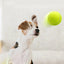 Dog Toy Rubber Elastic Tennis Ball Small and Medium sized Dog Bite Dog Toy - Korvel