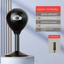 Premium Desktop Speed Ball for Boxing Training