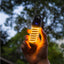Lampe de camping portable pour extérieur avec trépied