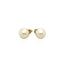 14k Yellow Gold Freshwater Cultured Pearl Stud Earrings