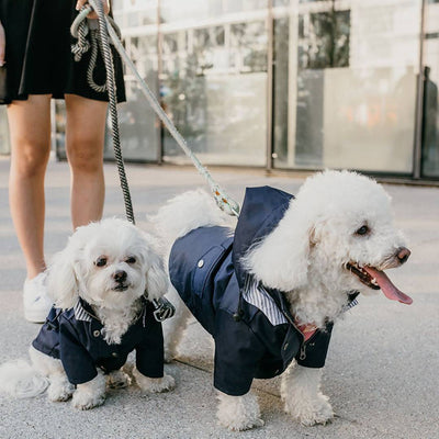 Premium Windproof British Retro Dog Raincoat
