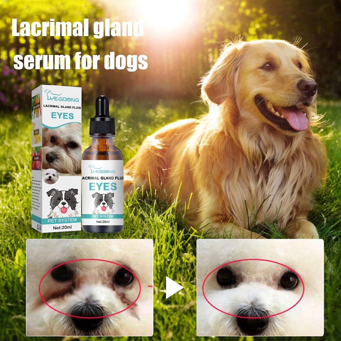 Tear Duct Serum For Dogs, Cats And Dogs Removal Eye Poop Pet Topical Eye Tear Stain Serum - Korvel