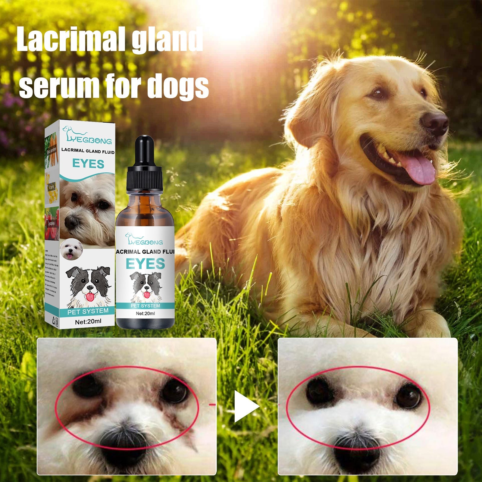 Tear Duct Serum For Dogs, Cats And Dogs Removal Eye Poop Pet Topical Eye Tear Stain Serum - Korvel