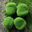 Mossy Stone Artificial Green Stone Arrangement