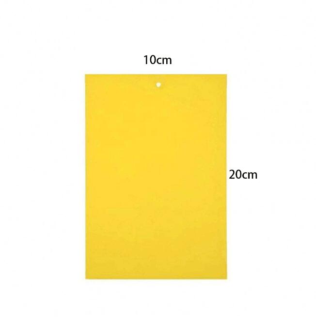 Double sidedStrong Flies Traps Bugs Sticky Board Catching Aphid Insects Killer fly Control Whitefly Thrip Leafminer Glue Sticker - Korvel