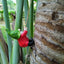 Climbing Elf Balcony Decoration Pendant