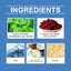 Dental Mouthwash, A Refreshing Minty Mouthwash With Gentle Ingredients To Clean Daily Dental Care - Korvel